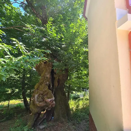 Venkovský dům Mallorquina Tu Zona Desconectar